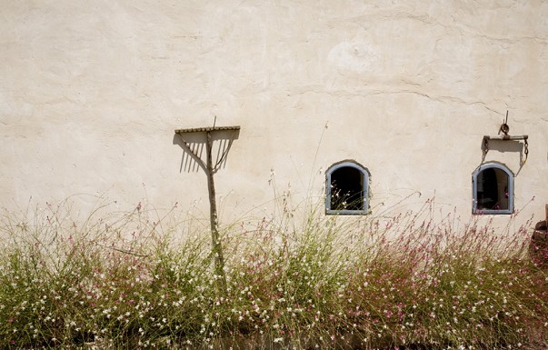 חאן סמדר - ������ �זכרון יעקב - ������ ����